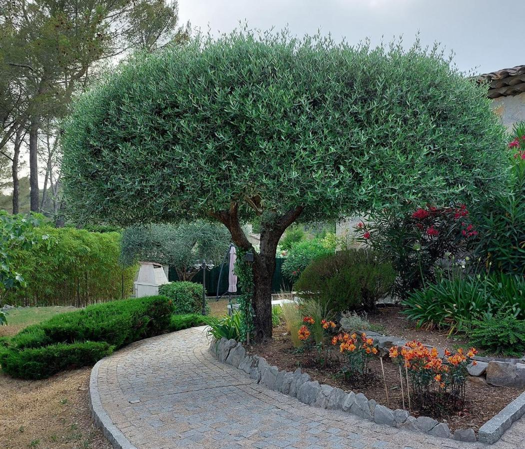 Gite Les Pins Climatise Piscine Chauffee Jardin Peymeinade Exteriér fotografie
