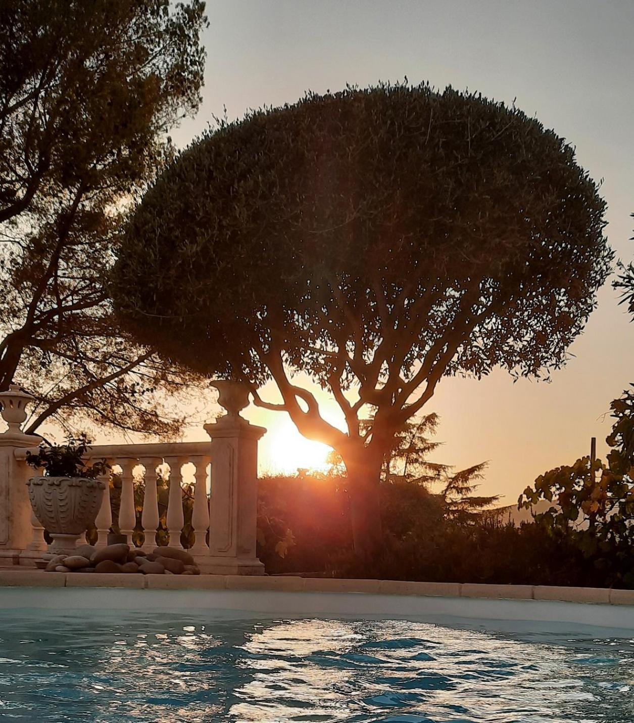 Gite Les Pins Climatise Piscine Chauffee Jardin Peymeinade Exteriér fotografie